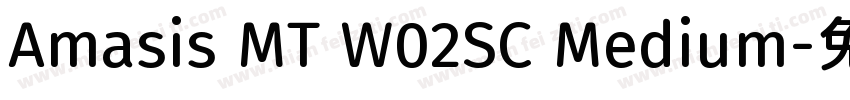 Amasis MT W02SC Medium字体转换